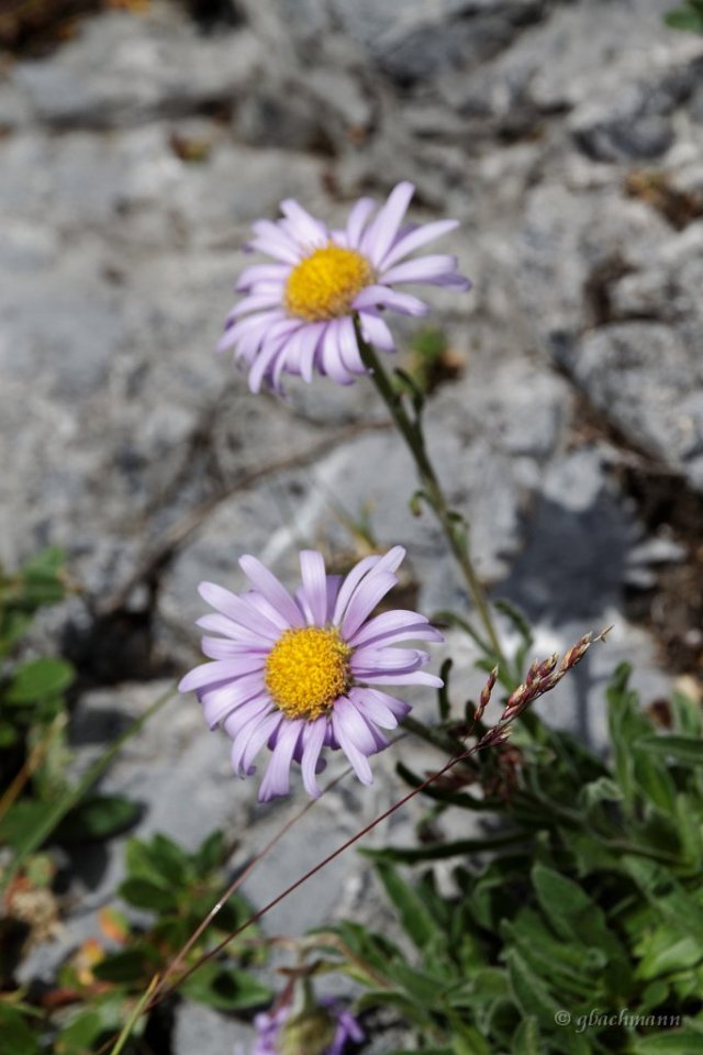 20130803_210